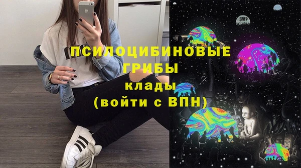 apvp Заволжск