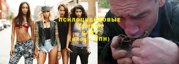apvp Заволжск